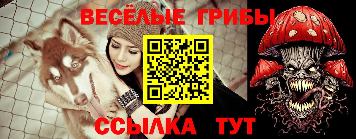 Псилоцибиновые грибы мухоморы  Псилоцибиновые грибы ЛСД  Карпинск  Вход с VPN 