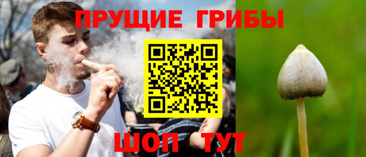 Псилоцибиновые грибы прущие грибы Карпинск
